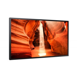 Moniteur Vitrine 55"...