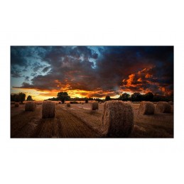Moniteur 46" SAMSUNG...
