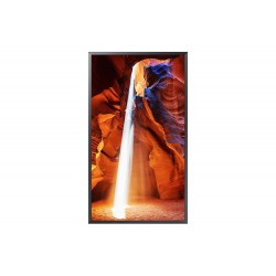 Moniteur vitrine 55" Double...