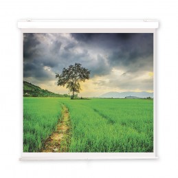 Ecran motorisé OSF...