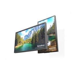 Moniteur 43" Forte...