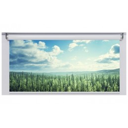 Ecran motorisé OSF...