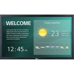 Moniteur 22'' LG 22SM3G...
